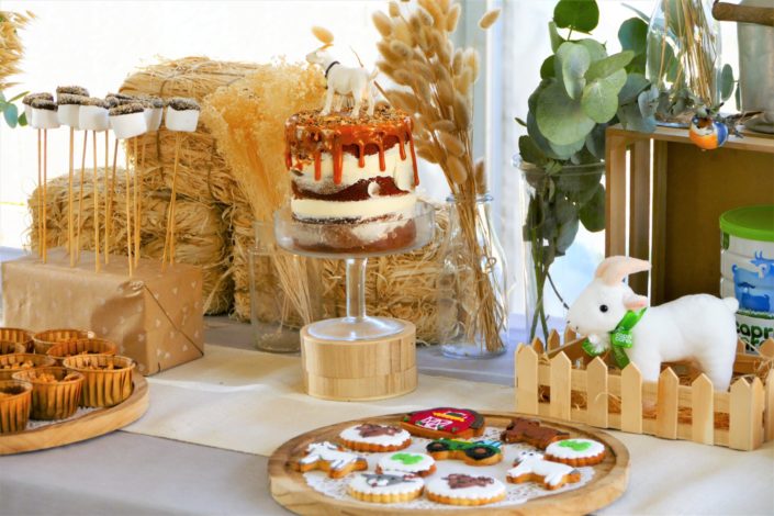 Goûter influenceurs pour Capri Care - sablés décorés, crêpes, fontaine de chocolat, muffins, brochettes de chamallows, fontaines à boissons, naked cake