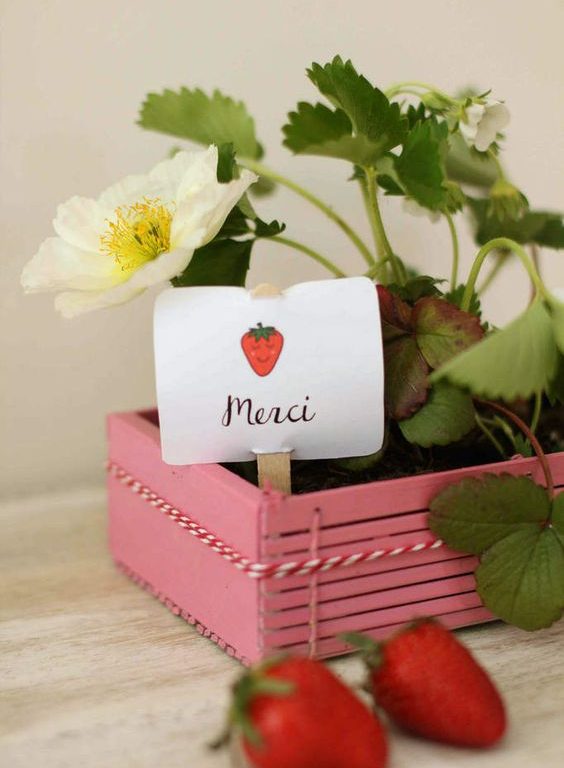 anniversaire fraise- cadeaux invités : une barquette de fraises
