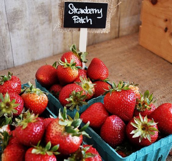 anniversaire fraise- barquettes fraises