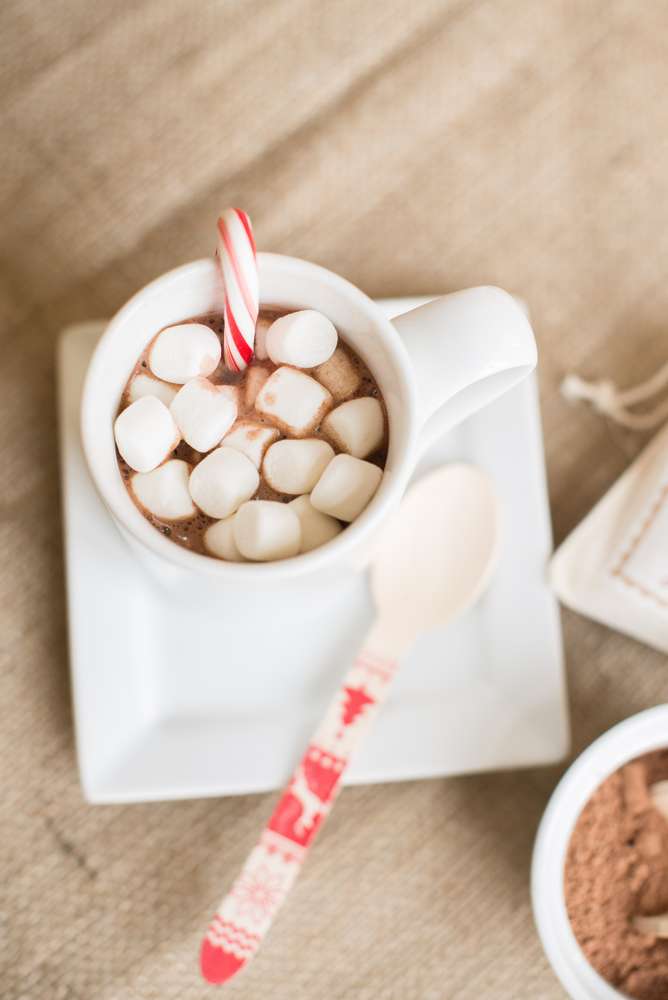 Cookies & milk - Studio Candy - Chocolat chaud et chamallows