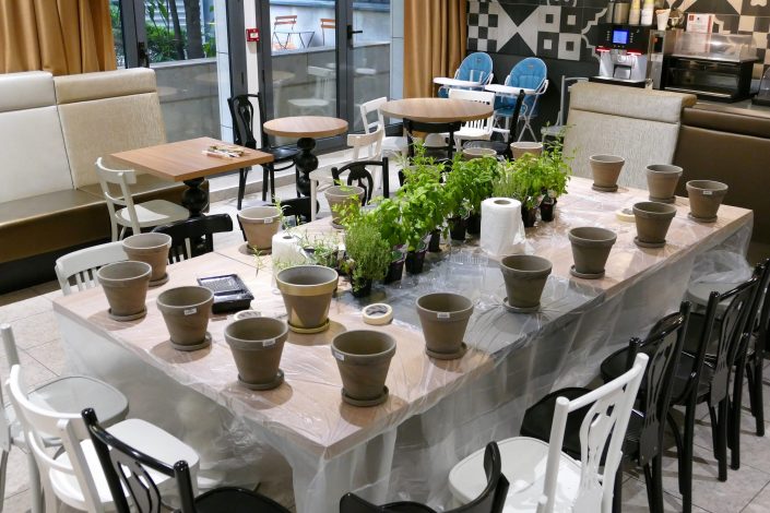 Atelier créatif DIY pour les clients Adagio : customisation de pots en terre cuite et rempotage de plantes aromatiques