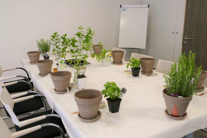 Atelier créatif DIY végétal chez Estée Lauder - team building par Studio Candy - peinture pot en terre cuite, plantes aromatiques, rempotage...