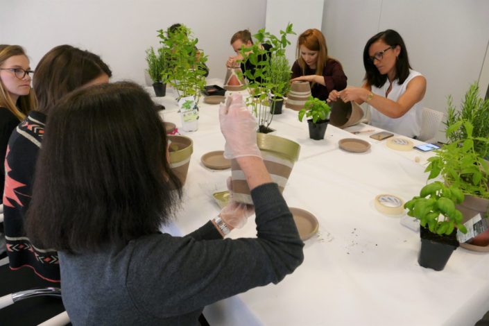 Atelier créatif DIY végétal chez Estée Lauder - team building par Studio Candy - peinture pot en terre cuite, plantes aromatiques, rempotage...