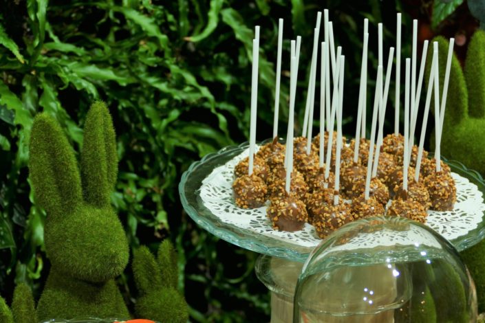 Sweet table nature, green, végétale pour la journée presse de Vulli. Décoration plantes, mousse, feuilles, bois et pâtisseries/ sablés décorés renard, ours, lapin, arbre