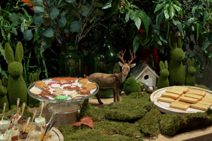 Sweet table nature, green, végétale pour la journée presse de Vulli. Décoration plantes, mousse, feuilles, bois et pâtisseries/ sablés décorés renard, ours, lapin, arbre