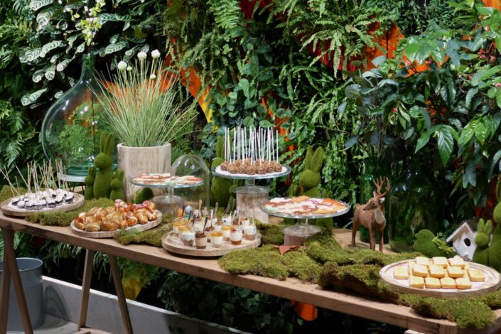 Sweet table nature, green, végétale pour la journée presse de Vulli. Décoration plantes, mousse, feuilles, bois et pâtisseries/ sablés décorés renard, ours, lapin, arbre