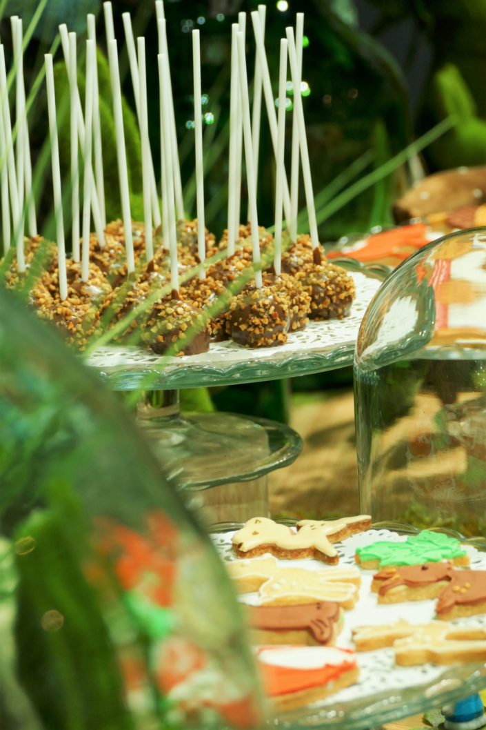 Sweet table nature, green, végétale pour la journée presse de Vulli. Décoration plantes, mousse, feuilles, bois et pâtisseries/ sablés décorés renard, ours, lapin, arbre