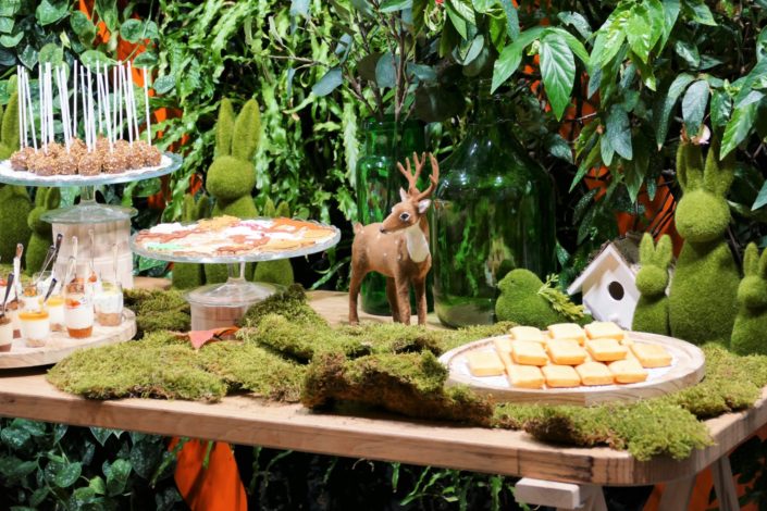 Sweet table nature, green, végétale pour la journée presse de Vulli. Décoration plantes, mousse, feuilles, bois et pâtisseries/ sablés décorés renard, ours, lapin, arbre