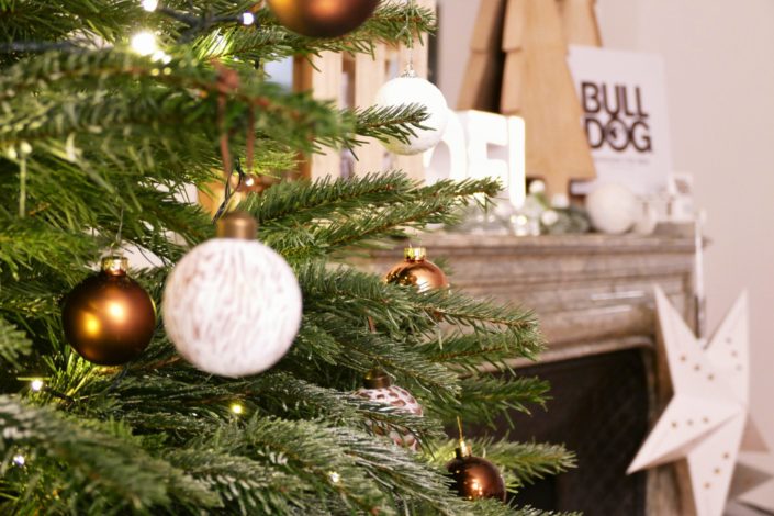 Scénographie, décoration de Noël pour la marque Bulldog par Studio Candy - sapin, table branche de sapin et pomme de pin, cheminée décorée