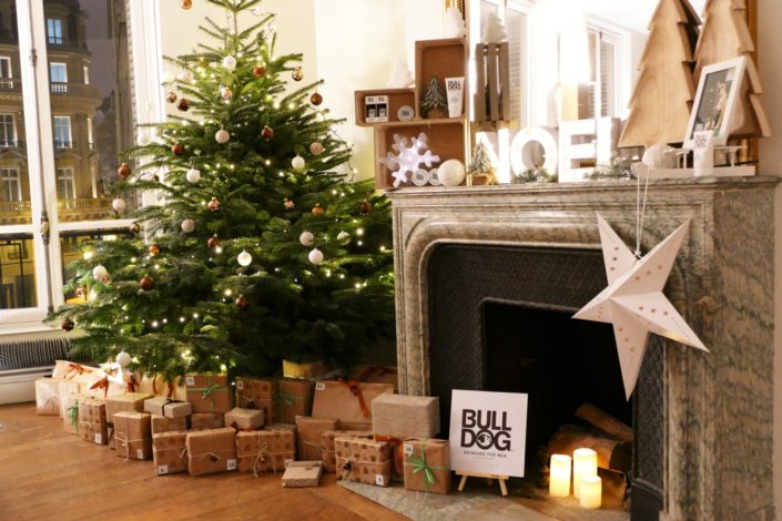 Scénographie, décoration de Noël pour la marque Bulldog par Studio Candy - sapin, table branche de sapin et pomme de pin, cheminée décorée