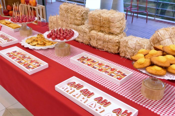 Campagne communication la Vache Qui Rit - petit déjeuner, cake pops rouges à paillettes, viennoiseries, sablés décorés, muffins, financiers amande, décoration rouge et champêtre
