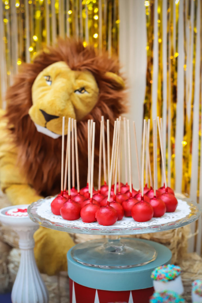 Family day salesforce thème cirque par Studio Candy - décoration, lion, ballons hélium, cake pops rouges et bleus, sablés décorés tente de cirque, lapin, chapeau de magicien, barbe a papa, singe, éléphant - bottes de paille