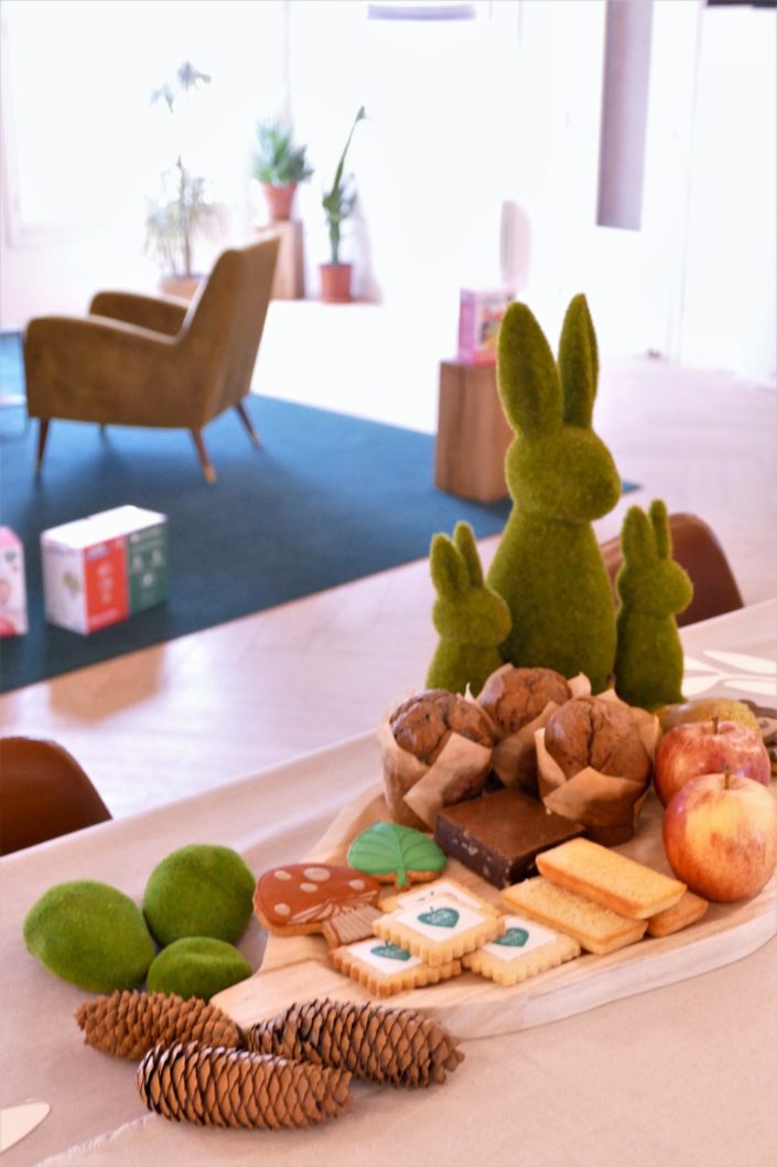 Petit déjeuner nature pour le lancement de la gamme de jouets Clementoni - brownie au noix, fruits frais, sablés décorés, muffins myrtille - décoration eucalyptus, lapins en mousse, pommes de pin, lin froissé beige