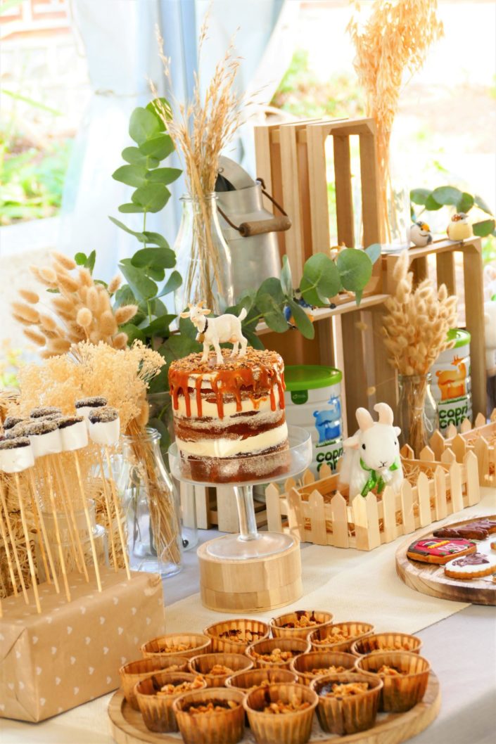 Goûter influenceurs pour Capri Care - sablés décorés, crêpes, fontaine de chocolat, muffins, brochettes de chamallows, fontaines à boissons, naked cake