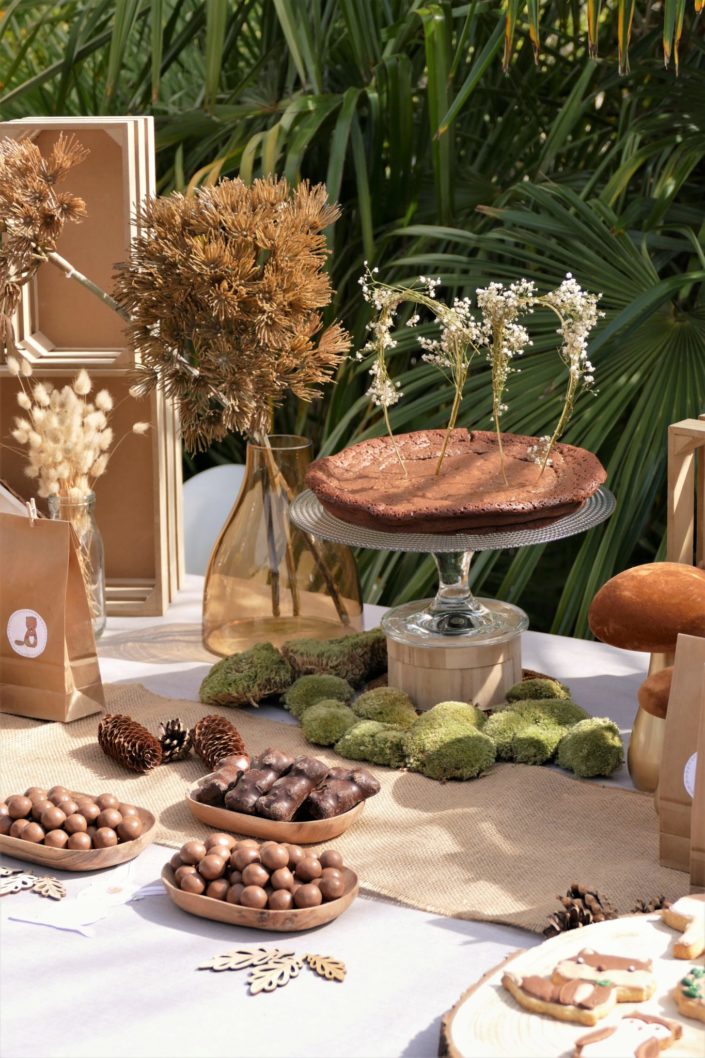 goûter thème forêt avec décoration mousse, bois, champignons et fleurs séchées - sablés décorés animaux, chocolats, gâteau - par Studio Candy