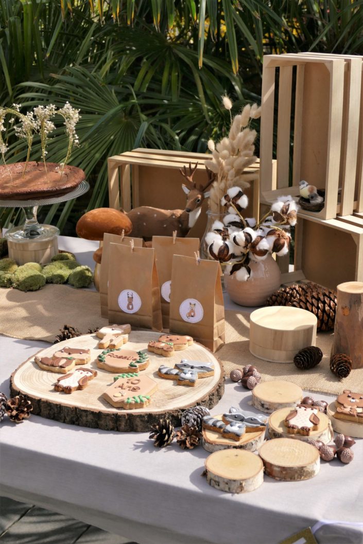 goûter thème forêt avec décoration mousse, bois, champignons et fleurs séchées - sablés décorés animaux, chocolats, gâteau - par Studio Candy