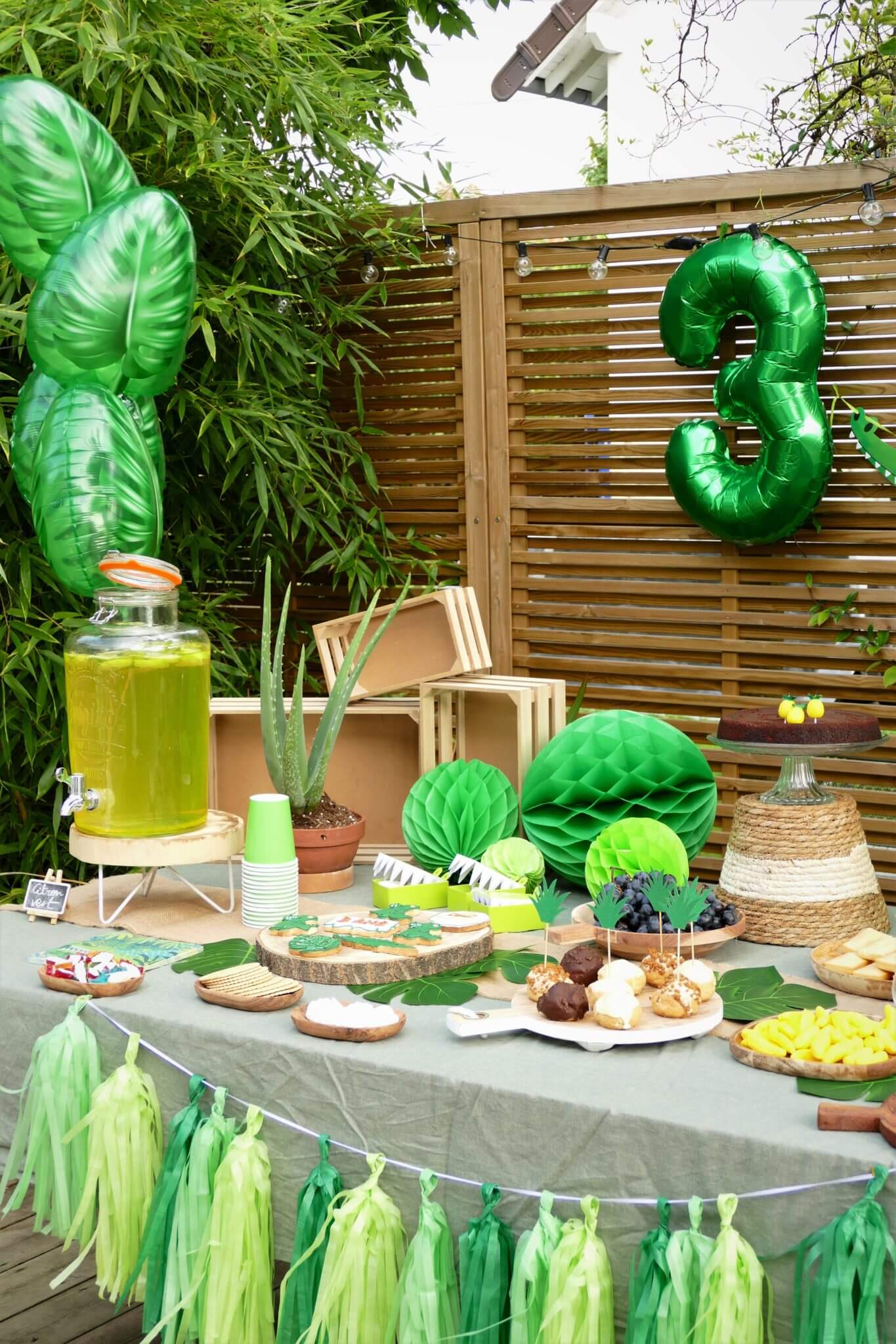 Anniversaire Crocodile / Jungle Party 3 ans - Studio Candy