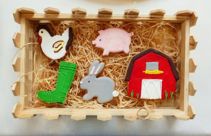 Goûter thème campagne/ferme avec des sablés décorés animaux comme des poules, des lapins, chèvres, cochons et biensur une ferme, un tracteur, des bottes
