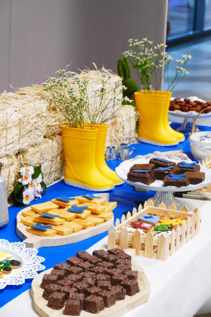 Table décorée pour Kiri avec petits sablés sur mesure : ferme, botte de foin, tracteur, vache, financiers, mini cannelés, brownie chocolat et bar à pain pour se tartiner son kiri ! Décoration champêtre enfantine avec de petites bottes fleuries, des fleurs des champs, des bottes de foin.